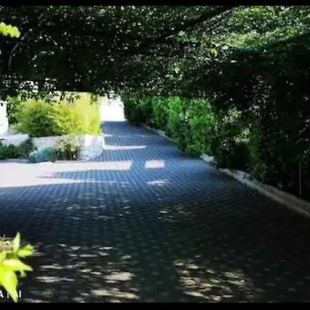 Klarisa Urban Oasis Макарска